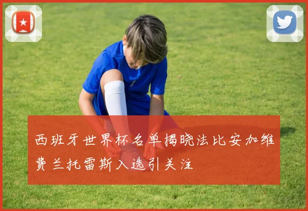西班牙世界杯名单揭晓法比安加维费兰托雷斯入选引关注