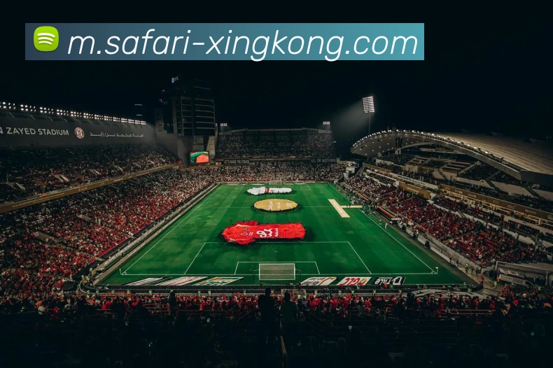 星空体育APP 封面图